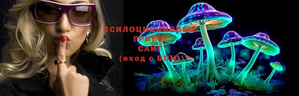 эйфоретик Алексеевка