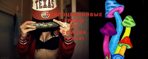 ПСИЛОЦИБИНОВЫЕ ГРИБЫ Алексин