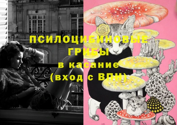 соль курить ск Алзамай