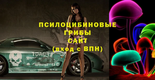 ПСИЛОЦИБИНОВЫЕ ГРИБЫ Алексин