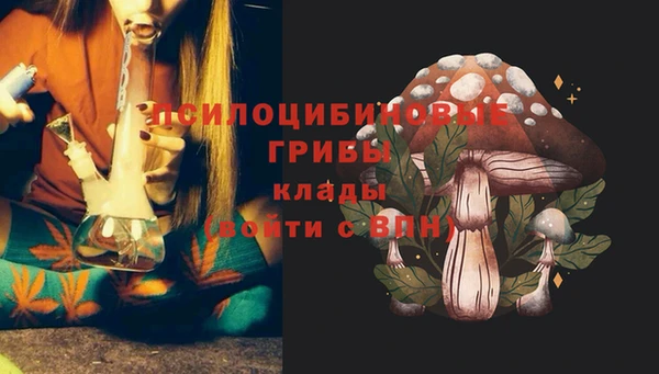 эйфоретик Алексеевка