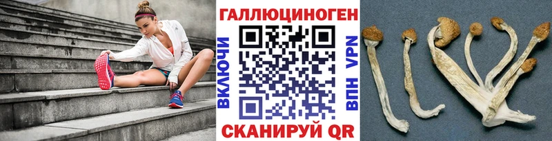 Галлюциногенные грибы мухоморы  продажа наркотиков  МЕГА сайт  Западная Двина 